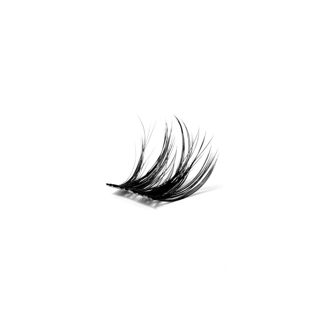 BOLD LASHES