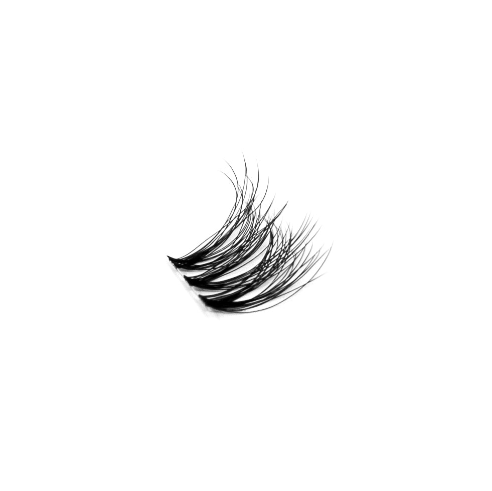 WHISPY LASHES (Lashes Only - Espresso Brown)
