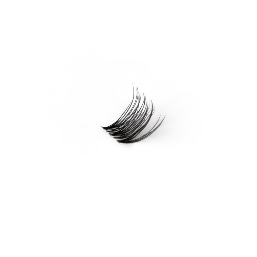 AURA (Black - Flash Lash Bundle)